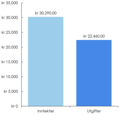 Bildet viser en budsjett oversikt med inntekter på kr 30 290 og utgifter på kr 22 460